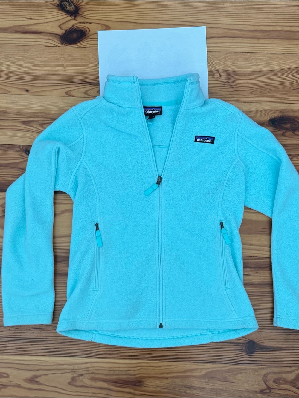 Patagonia Women's Classic Synchilla Fleece Jacket Bend Blue Small EUC